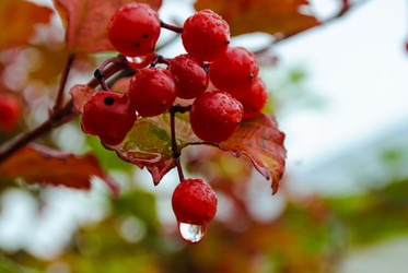 Similar image 5953146