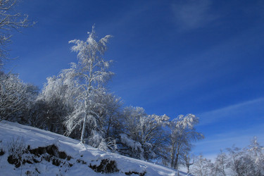 Similar image 5953148