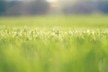 Similar image 5953170