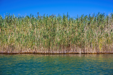 Similar image 5953196