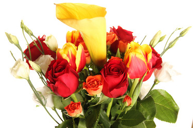 Similar image 5953309