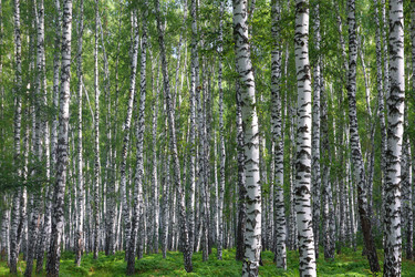 Similar image 5953347