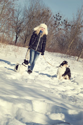 Similar image 5953573