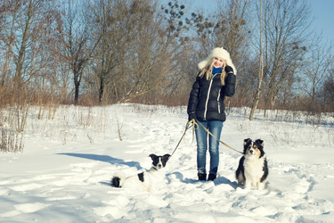 Similar image 5953574