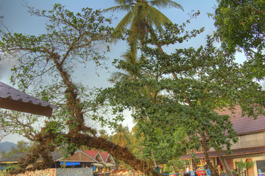 Similar image 5953630