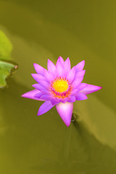 Similar image 5953631