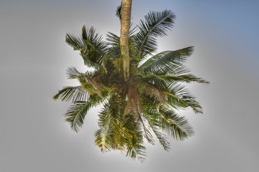 Similar image 5953632