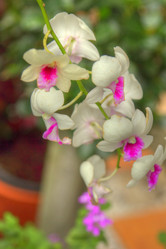 Similar image 5953633