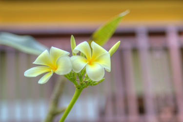 Similar image 5953634