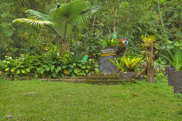 Similar image 5953635