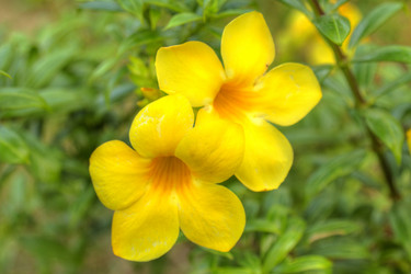 Similar image 5953638