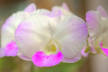 Similar image 5953639