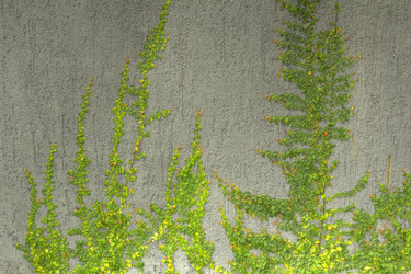 Similar image 5953640