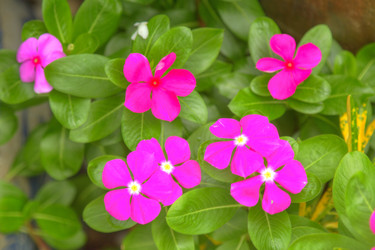 Similar image 5953641