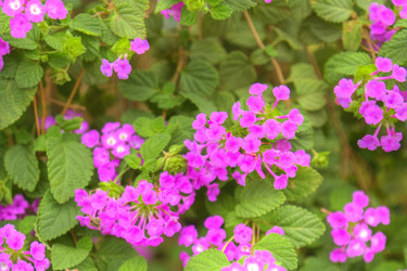 Similar image 5953642