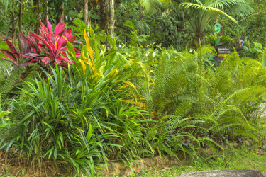 Similar image 5953643