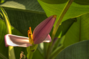 Similar image 5953645