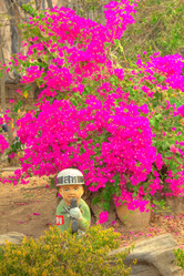 Similar image 5953646