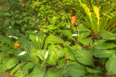 Similar image 5953648