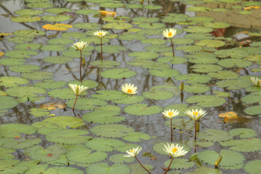 Similar image 5953649