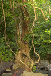 Similar image 5953652