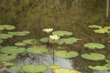 Similar image 5953653