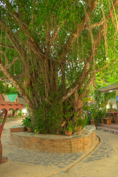 Similar image 5953655