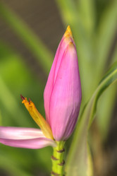 Similar image 5953657