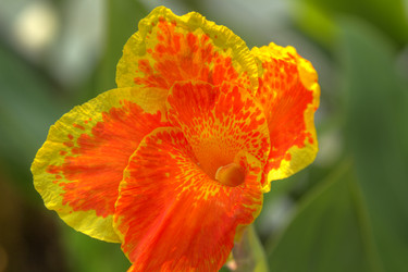 Similar image 5953658