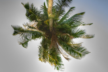 Similar image 5953659