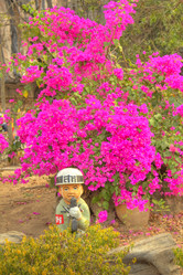 Similar image 5953660