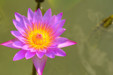 Similar image 5953661