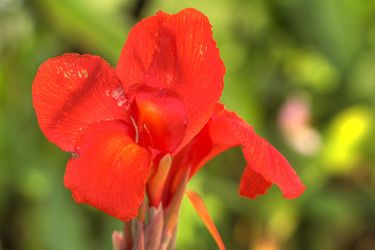 Similar image 5953663