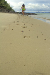 Similar image 5953676