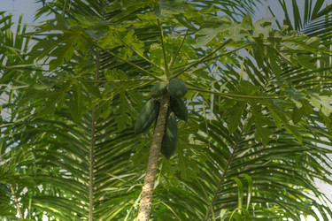 Similar image 5953680