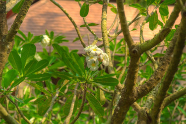 Similar image 5953682