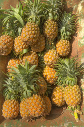 Similar image 5953689