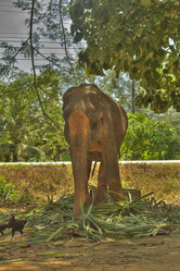 Similar image 5953699