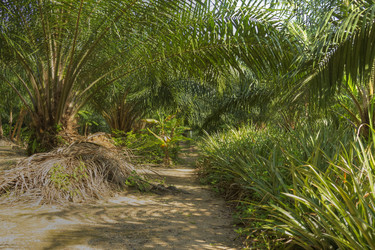 Similar image 5953701