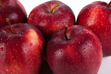 Similar image 5954047