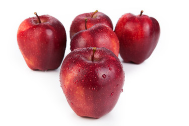 Similar image 5954050