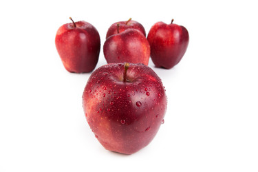 Similar image 5954051