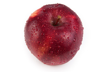 Similar image 5954084