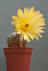 Similar image 5954765