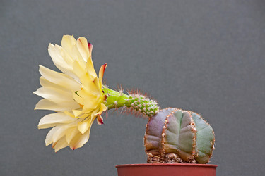 Similar image 5954770