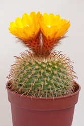 Similar image 5954772