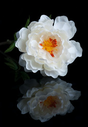 Similar image 5954791