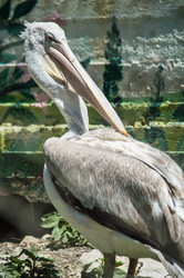 Similar image 5954950