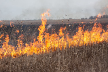 Similar image 5954951