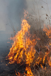 Similar image 5954952